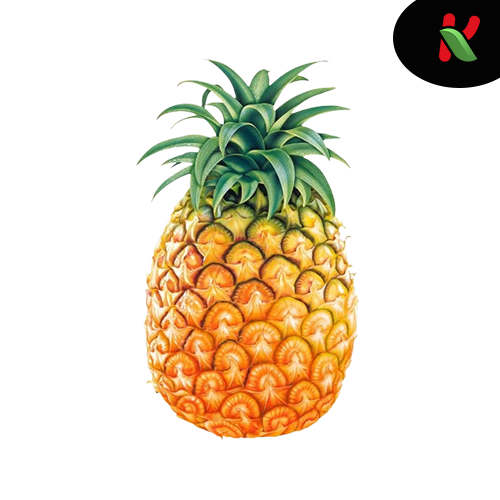 Ananas - 01 pièce